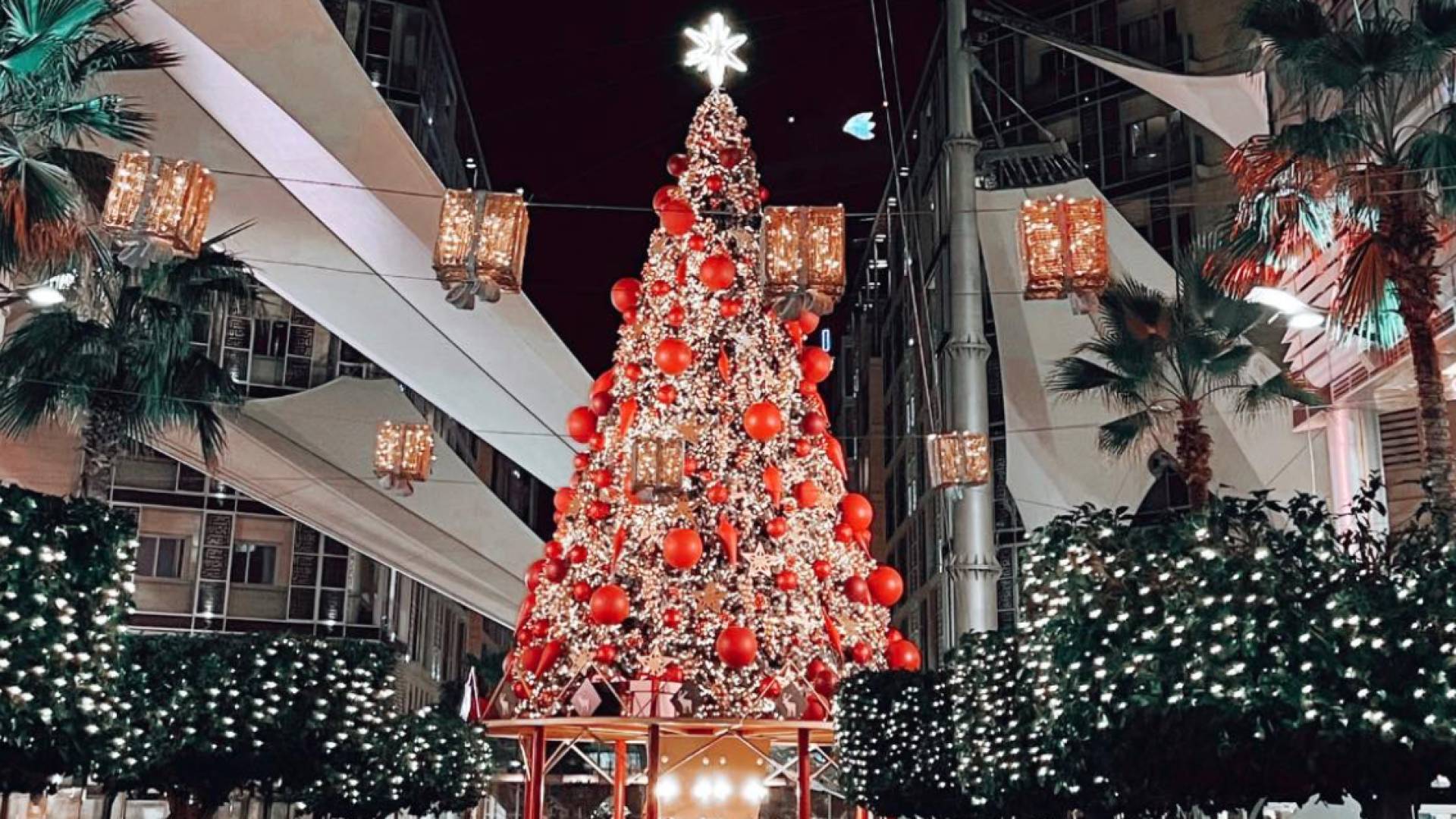 Christmas magic returns as Jordan unveils festive events