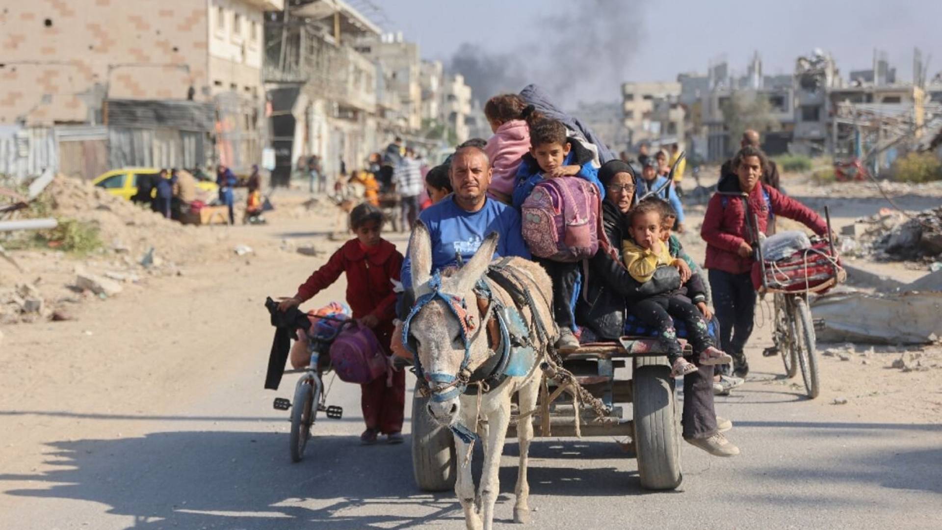 Germany sparks outrage by accepting donkeys from Gaza while rejecting injured children