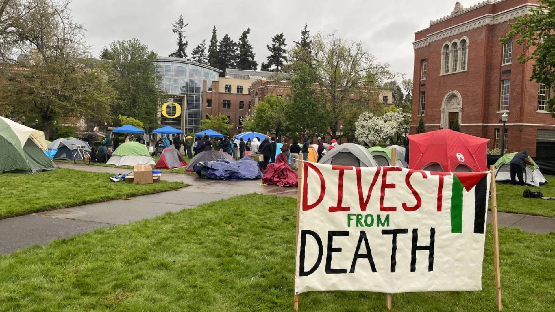 Academic boycotts against 'Israel' surge despite Gaza ceasefire: Report