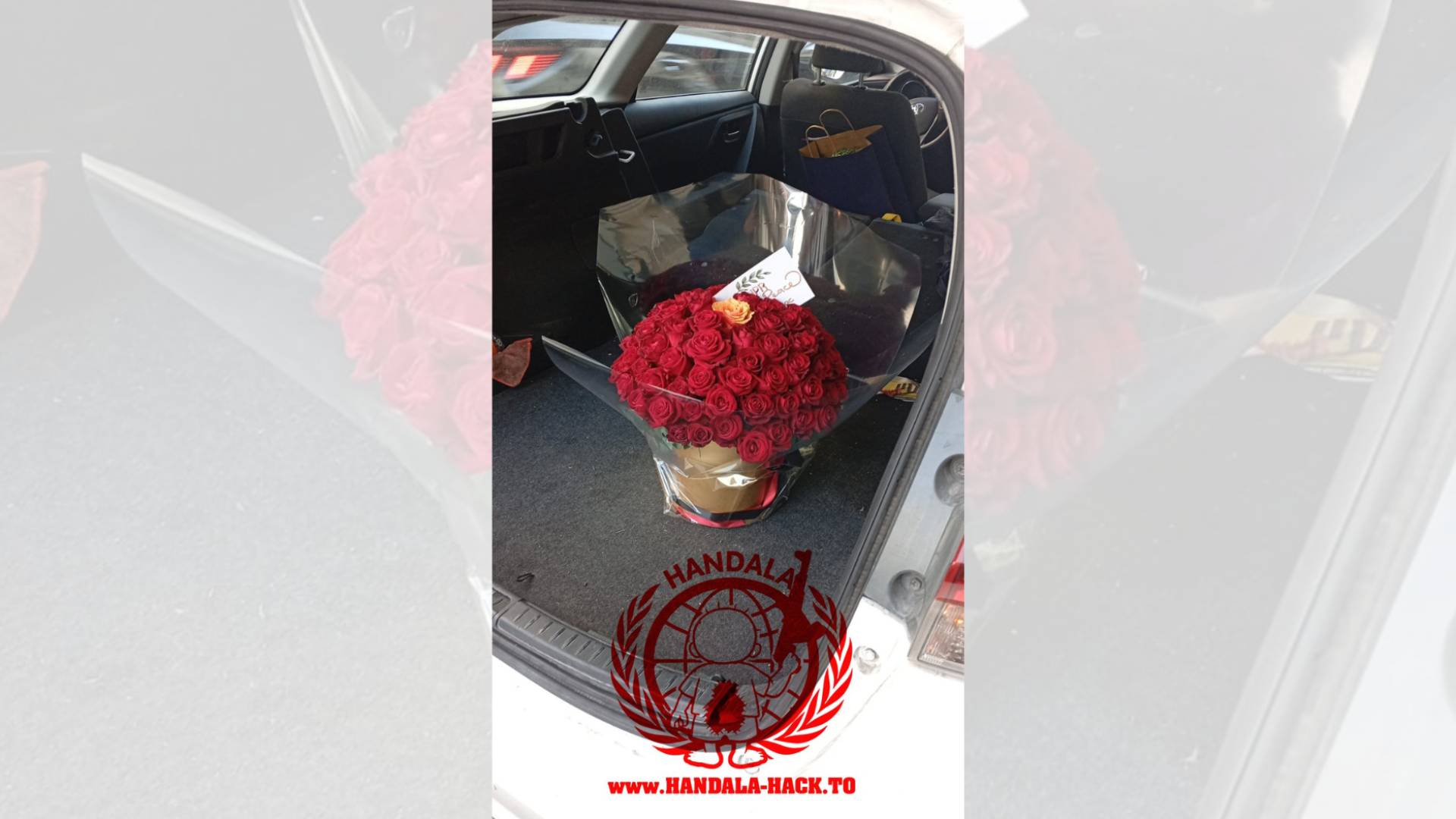 Iranian group places flowers in ‘Israeli’ nuclear scientist’s car