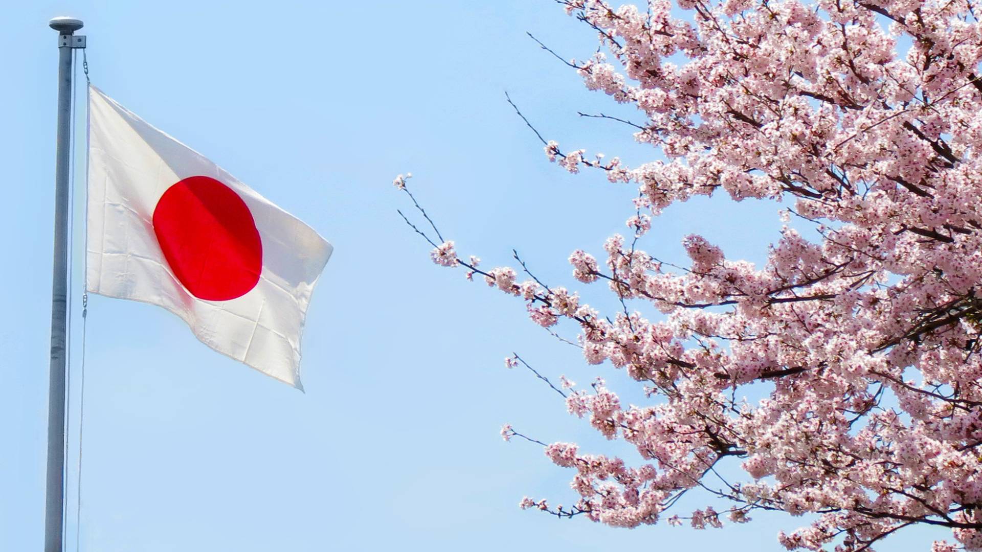 Tokyo says Chinese jets locked radar onto Japan fighters