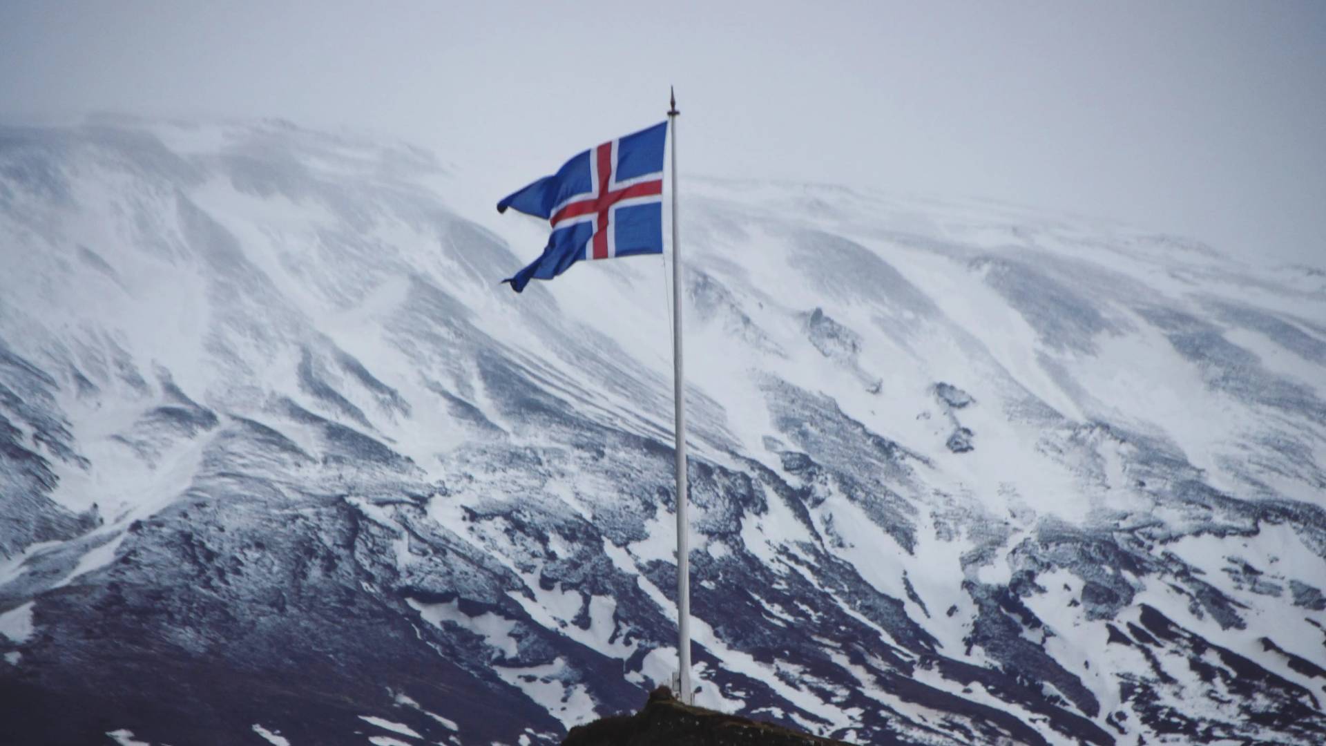 'Iceland' withdraws from Eurovision over 'Israel's' participation