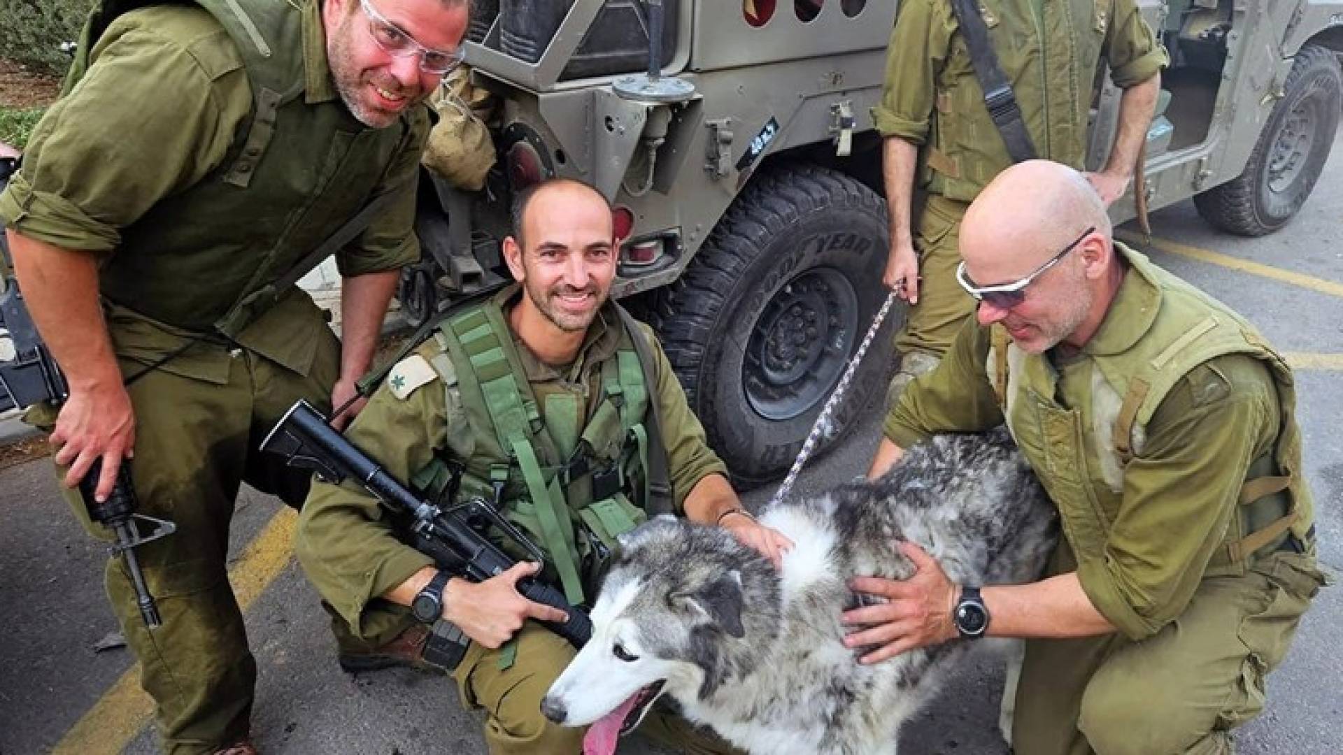 Rabies outbreak among 'Israeli' soldiers after stray puppy exposure