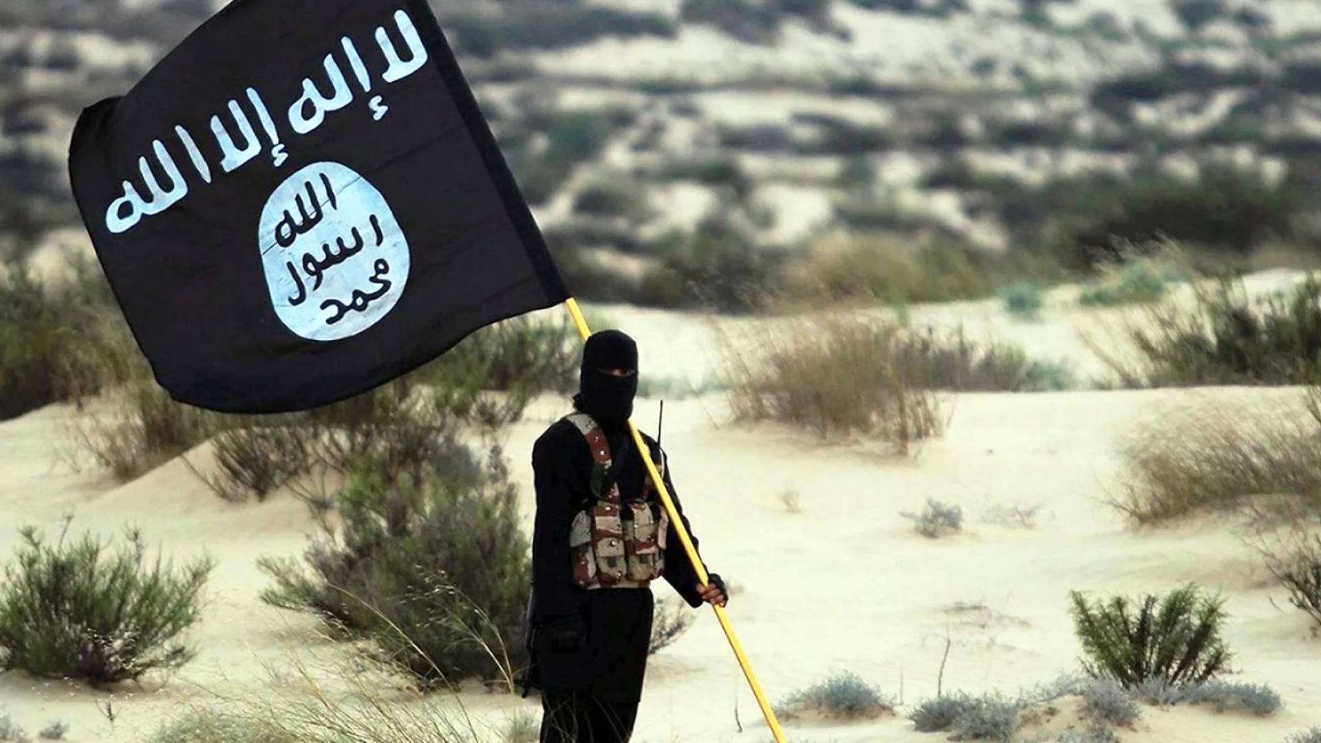 Syrian Interior Ministry confirms Daesh attacker killed