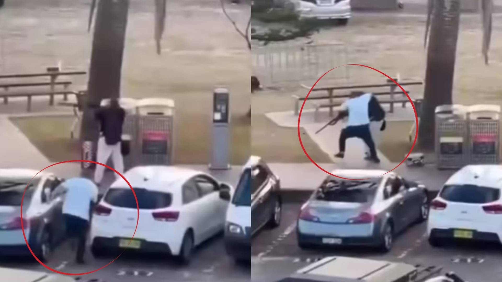 Who is Ahmad Al Ahmad, the man who stopped Sydney shooting?