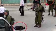 Israeli soldier Elor Azarya begins prison sentence