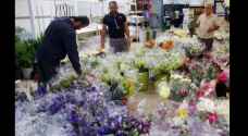 New wholesale flower market to be established