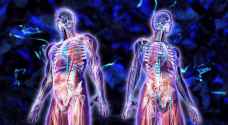 Breakthrough discovery: Scientists discover new human organ
