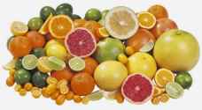 15 thousand tons of Syrian citrus exported to Jordan last week