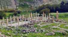 40 Australian archaeologists excavate Roman city of Pella in Jordan