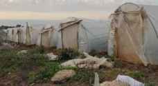 Strong winds destroy 5% of greenhouses in Deir Alla