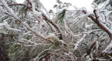 JMD warns of frost late night, tomorrow morning