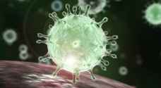 India discovers new coronavirus strain