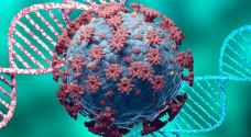 Jordan records highest daily coronavirus cases since beginning of pandemic