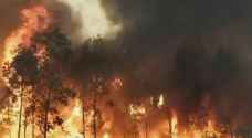 Flames rage in northern Argentina as wildfire affects more than 3,000 hectares