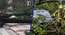 One killed in Netherlands summer storm