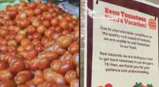 Burger King India cuts tomatoes from menu as prices soar