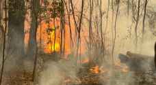 Residents told to flee east Australia bushfires