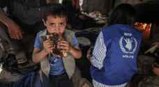 World Food Programme suspends aid delivery to north Gaza