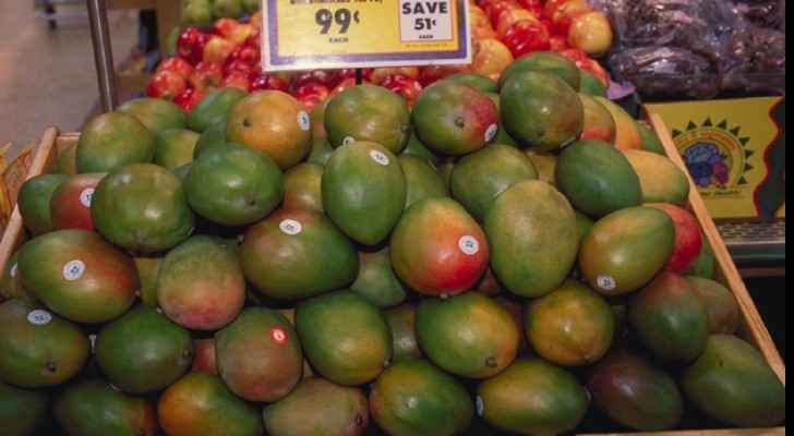 Israeli mangoes have found their way into Jordan's markets. (File photo) 
