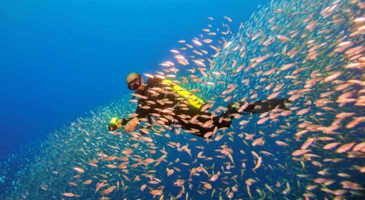 Diving and snorkeling are popular activities in the warm waters of the Red Sea of Aqaba. (Gallery – Deep Blue)
