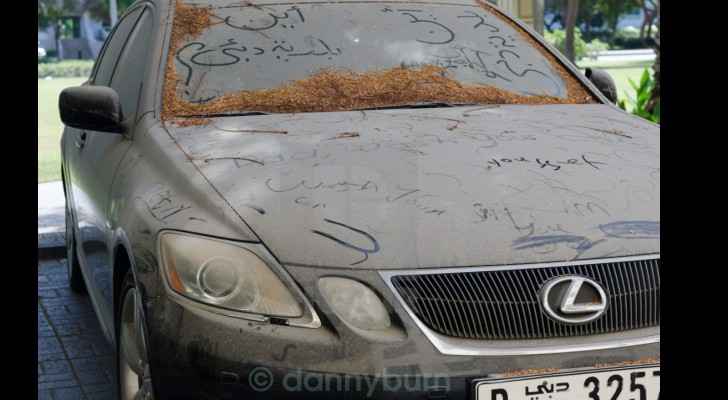 Abandoned, dirty cars of Dubai (Danny Burn)