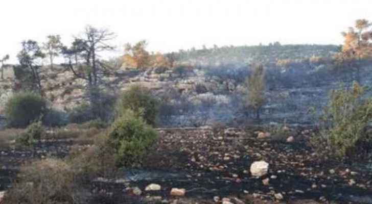 Fire in Ajloun destroys 200 trees