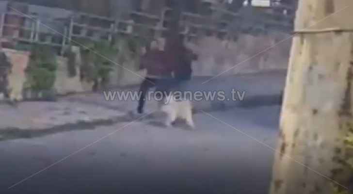 Video: Two unknown men try to steal dog in Abdoun