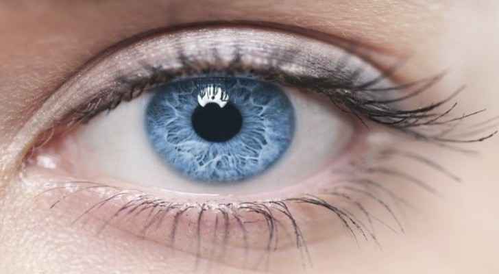 Jordanian Iftaa' Department issues fatwa regarding wearing colored contact lenses