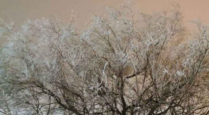Ruwaished registers lowest temperature with -4 degrees