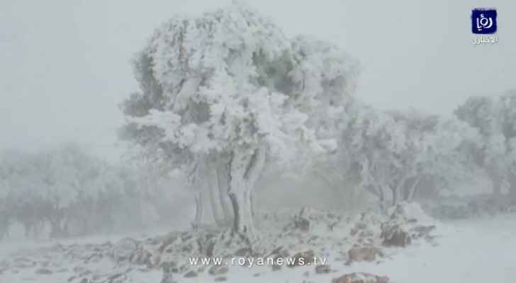 Watch snow falls over Al Hisheh in Petra