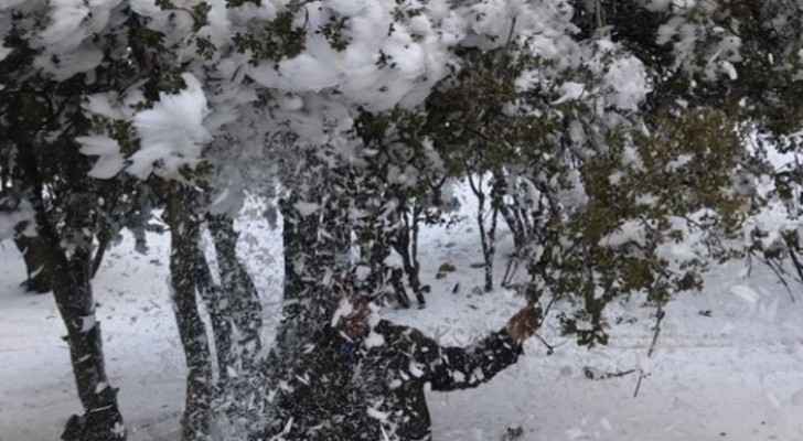 Arabia Weather: Snow showers coming to Jordan in the next few hours