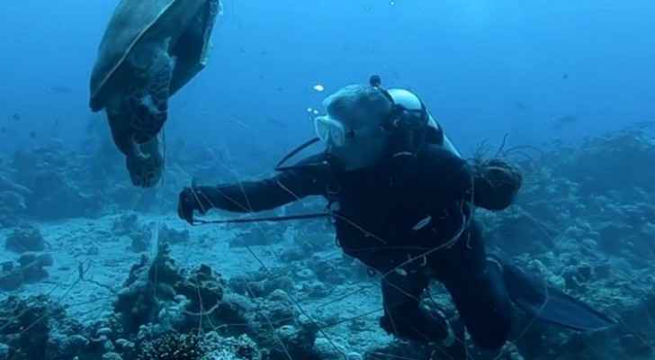 Watch: King, Crown Prince join divers in cleaning Aqaba sea