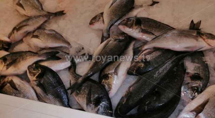 Seafood restaurant closed, 200 kg of fish disposed in Irbid