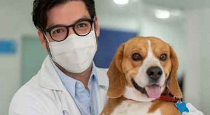National Committee for Epidemics comments on infection of dog with COVID-19