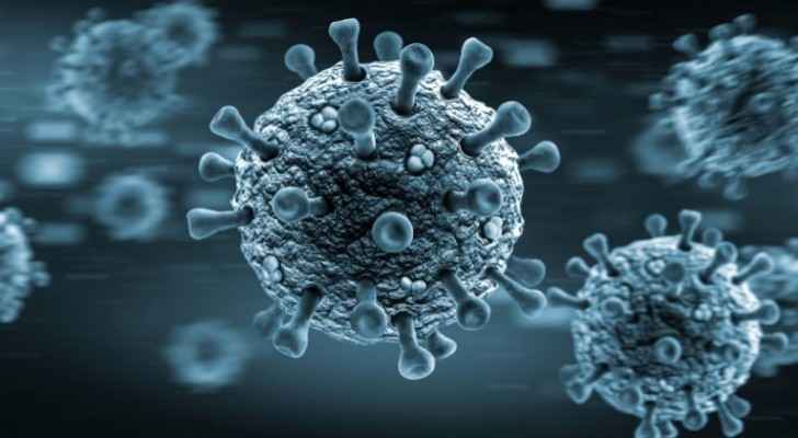 Mutated virus more contagious than previous mutations: study
