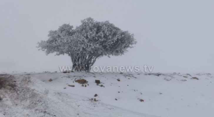 Heavy snowfall expected in third week of January: Arabia Weather
