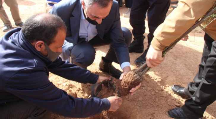IMAGES: 159 'significant and symbolic' trees planted in Mafraq