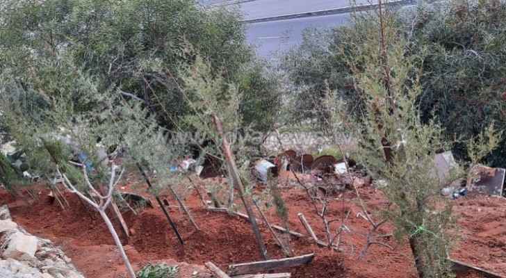 Jordan produces two million trees annually to increase green footprint: Agriculture Minister