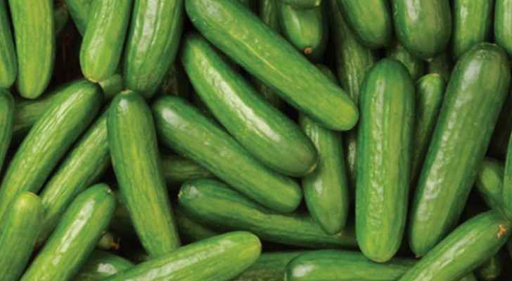 Jordanians complain about 'crazy' sudden increase in cucumber prices