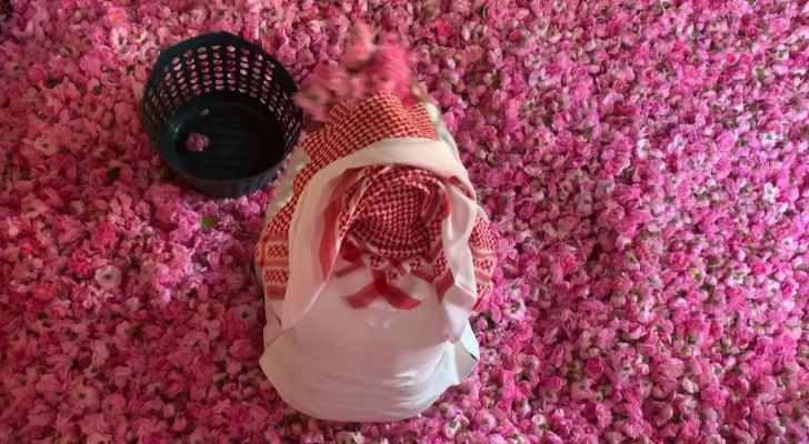 Saudi Arabia's city of roses blooms in Ramadan