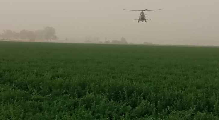 Tafila Agriculture Directorate ready to combat locust swarms: director