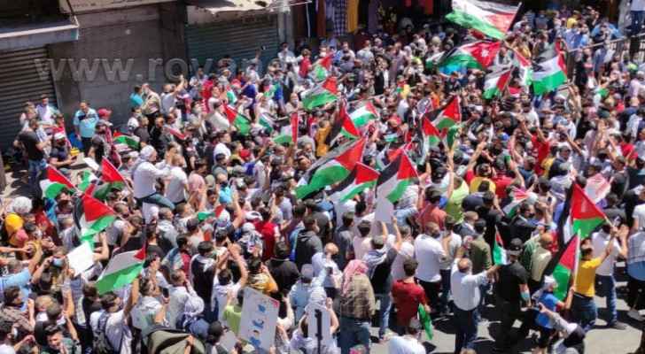 Popular protests represent Jordanian solidarity with Palestine: government