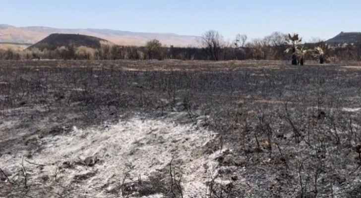 Jordan will demand Israeli Occupation to pay compensation following fire in Jordan Valley: Hunaifat