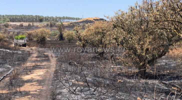 Zuaiter calls on government to hold Israeli Occupation accountable for fires in Jordan Valley