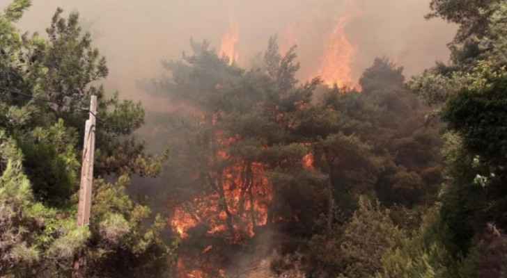 15-year-old dies in Lebanon wildfires