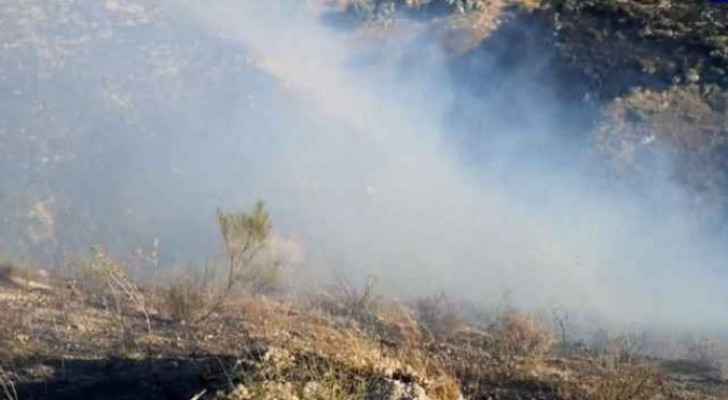 Huge fire devours fruit trees in Irbid