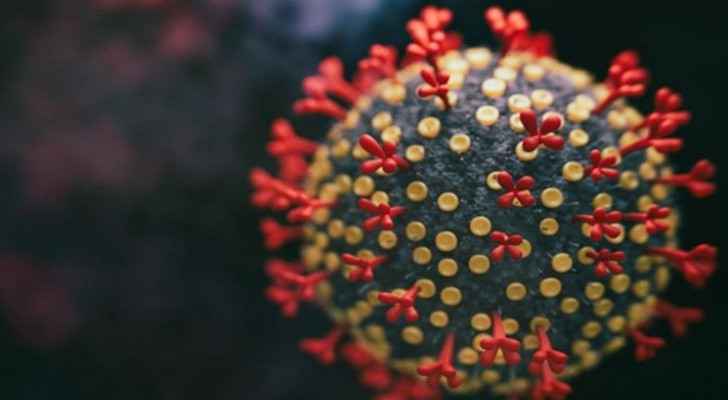 Level of concern for coronavirus in Jordan not sufficient: expert