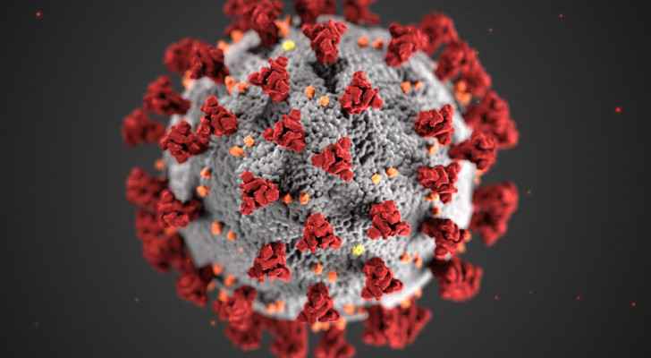 Jordan records 29 deaths and 2,674 new coronavirus cases