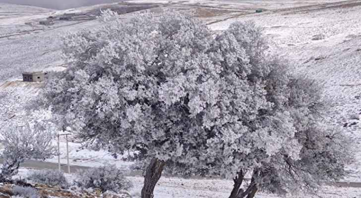 When will the new air depression start affecting Jordan? Arabia Weather answers
